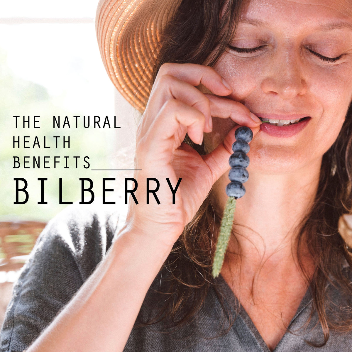The Natural Health Benefits of Bilberry Benefits of Adaptogens