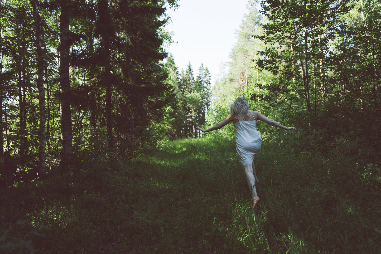 How adaptogen supplements can benefit your lifestyle