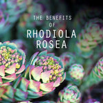 The Benefits of Rhodiola Rosea