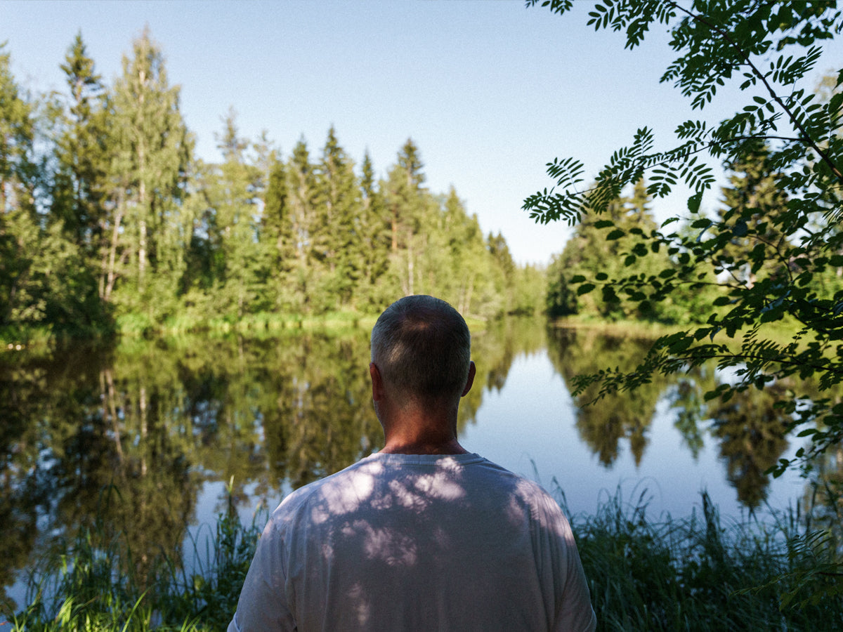 Forest Spa Finland Story