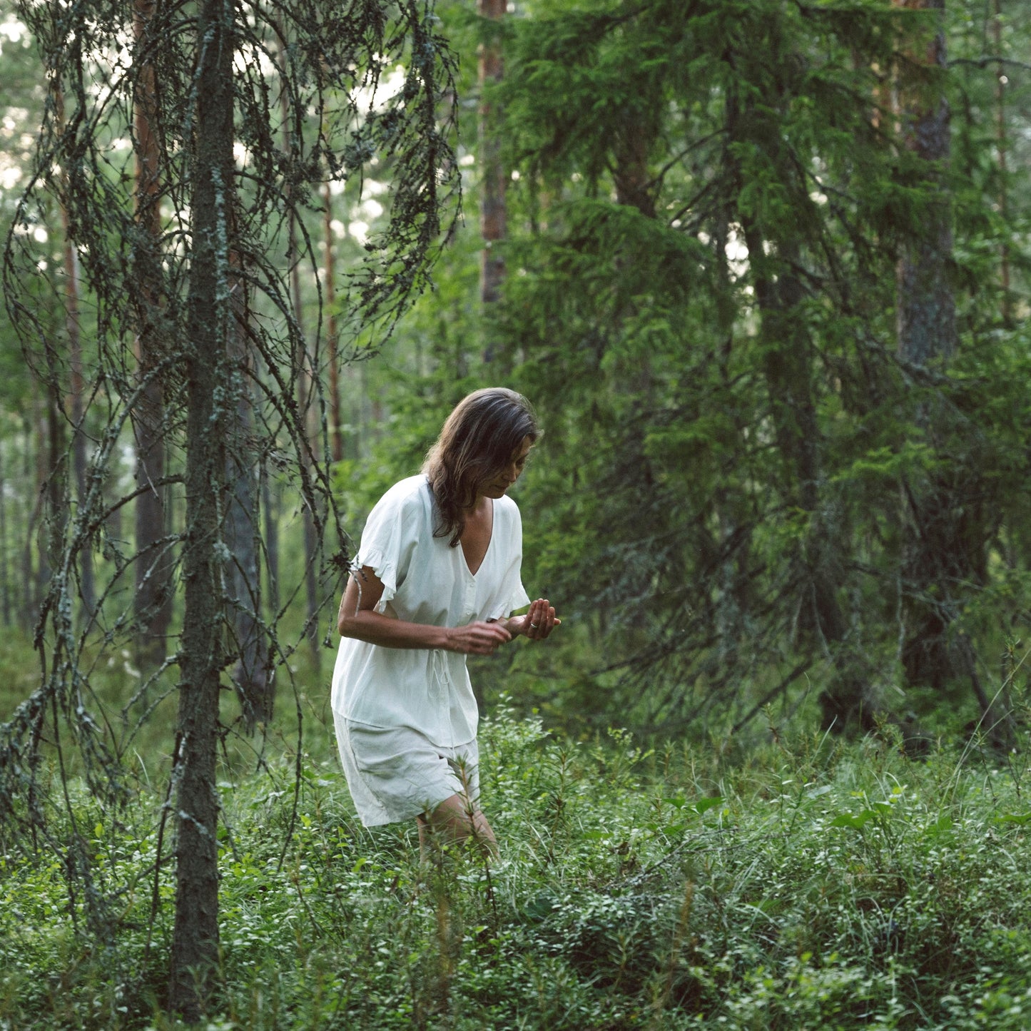 Nordic Adaptogens and the benefits of natural anti-inflammatories