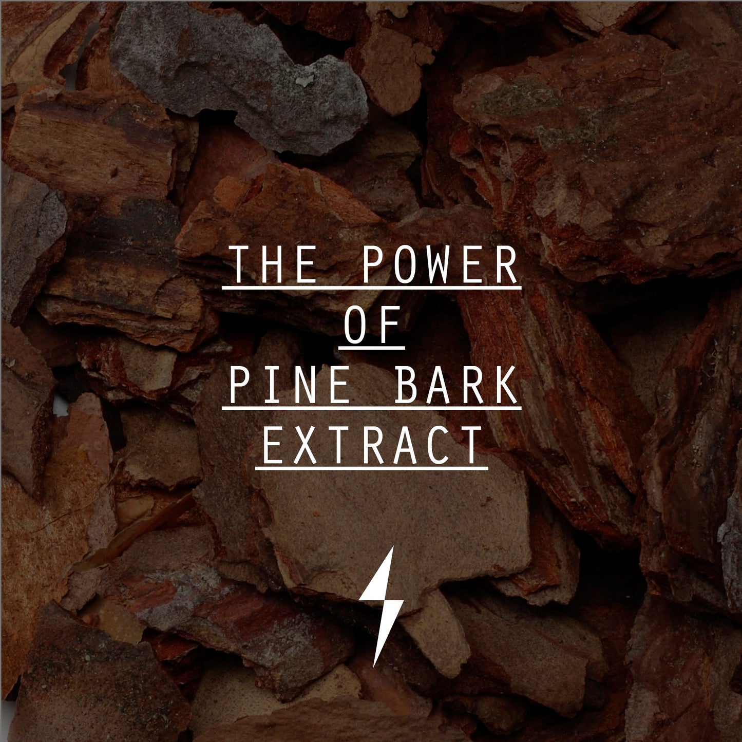 The power of pine bark extract