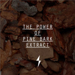 The power of pine bark extract