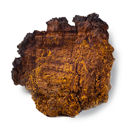 Ingredients-chaga copy.png__PID:6a2fbddf-4c96-4872-9092-067baeaa7da5