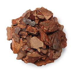 Ingredients-pinebark copy.png__PID:0402f229-71e1-46c2-9f62-4ac9dcb06a2f