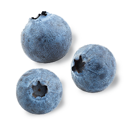 bilberry.png__PID:5be19ffd-5840-40c7-88ae-03b8c48af7ae