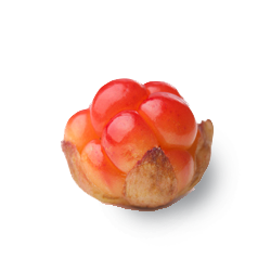 cloudberry  copy.png__PID:44fc0ab2-df42-48e5-9f3b-2f8260c13f15