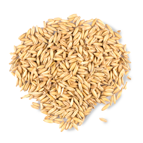 oat_web copy.png__PID:d403947a-094a-46c3-ab80-1e63a2e55be1